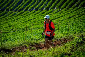 BIB: 617, 
                            <button type="button" onclick="openModal(19161007)" class="btn btn-primary btn-sm float-right btn-popup" data-toggle="modal" data-target=".modal-high-quality">
                        <i class="fas fa-shopping-cart"></i> Add to Cart
                    </button>
                                            <button type="button" onclick="isThisMe(19161007, true)" class="btn btn-success btn-sm float-right btn-popup btn-isme hidden" data-toggle="tooltip" data-placement="bottom" title="นี่คือรูปของคุณใช่ไหม คลิกที่นี่เพื่อเอาเข้าอัลบั้ม">
                        <i class="fas fa-plus"></i> Add to album
                    </button>
                    <button type="button" onclick="isThisMe(19161007, false)" class="btn btn-warning btn-sm float-right btn-popup btn-isnotme hidden">
                        <i class="fas fa-ban"></i> Remove from album
                    </button>